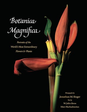 Botanica Magnifica